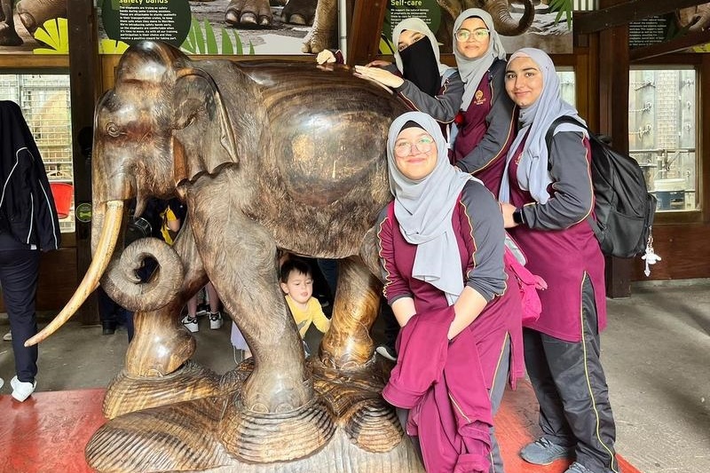 Year 7 and 8 Girls: Melbourne Zoo Excursion